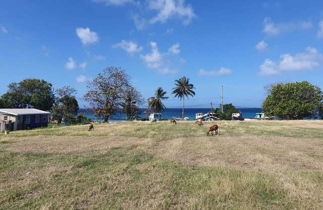 Less than 5 minutes walk to the sea. KORE is a charming 2-bedroom chattel house.