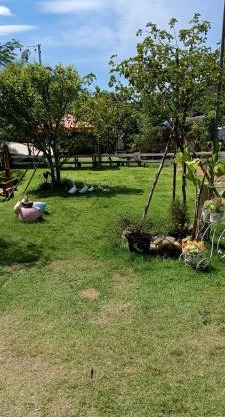 Lhong Luk Khao Camping