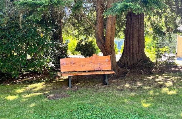 Light & Bright Modern Cottage with WiFi in charming Lake Stevens