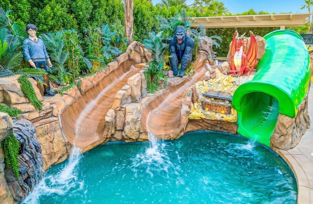 Lights, Camera, Vacation!