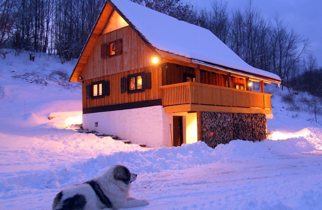 Linden Tree Retreat & Ranch