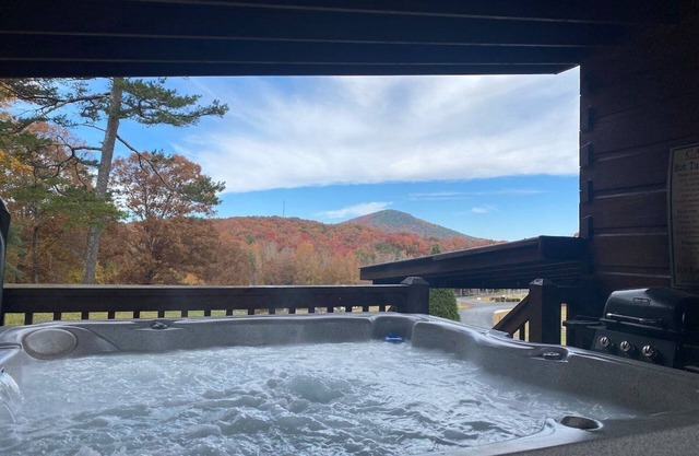 Little Mia's Mountain View Cabin