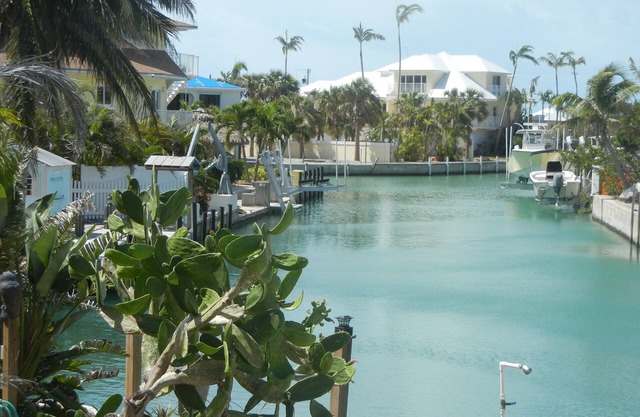 LIVING IN BEAUTIFUL PARADISE