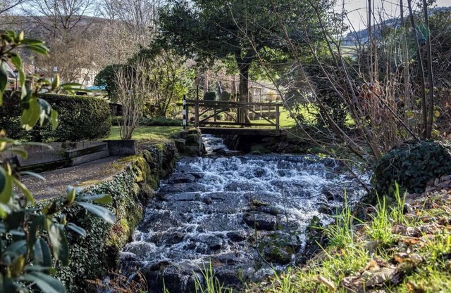 living TIMELESS: Alder Apartments Wohnung 33