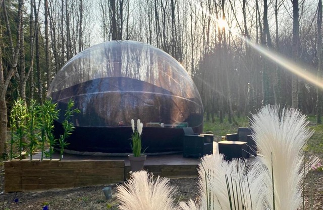 Logement insolite "Bubble jungle"