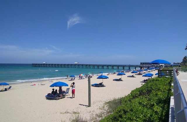 Long Term Stay - Charming Lake Worth Beach Home with Heated Salt Water Pool!