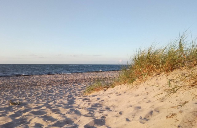 Lovely Apartment in Neubukow near Sea