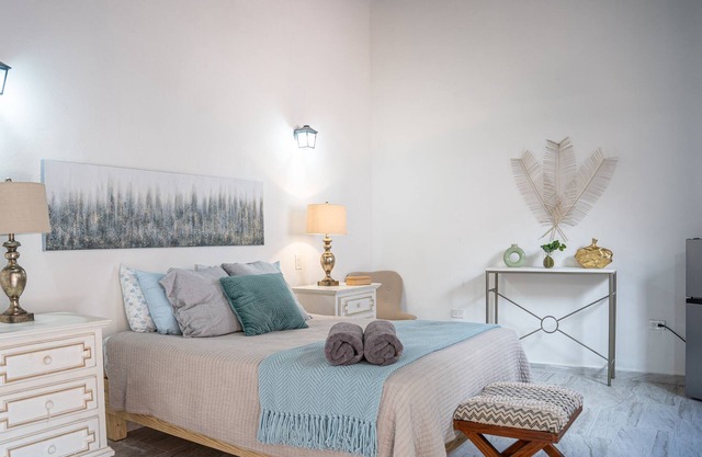 Lovely Apt. In The Heart Of OSJ 1