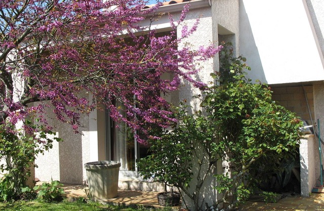 Lovely detached and quiet house 5 min from the beaches of La Rochelle