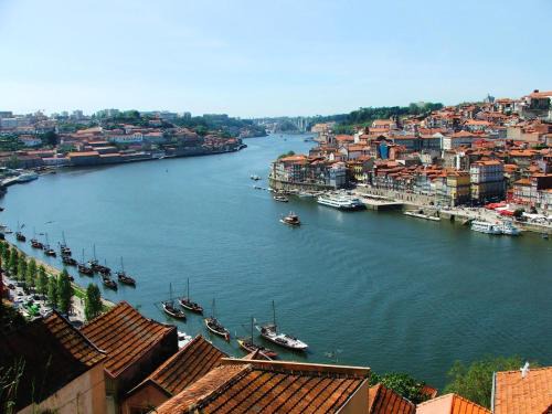 Lovely Flat in the Porto Center