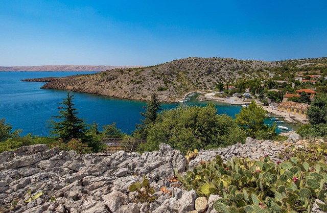 Lovely home in Cesarica