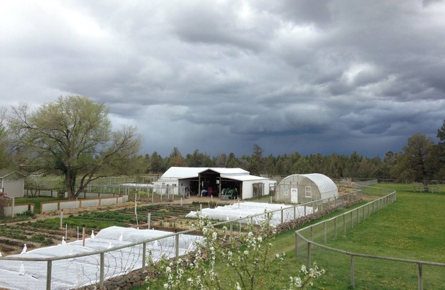 Luxe 2-BR Loft apt. on a Flower Farm in fabulous Bend with AC, WiFi, etc.!