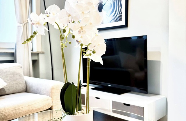 Luxurious 2 bedroom apartment in place flagelo