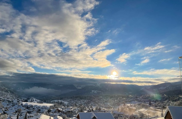 Luxurious apartment with access to ski slope