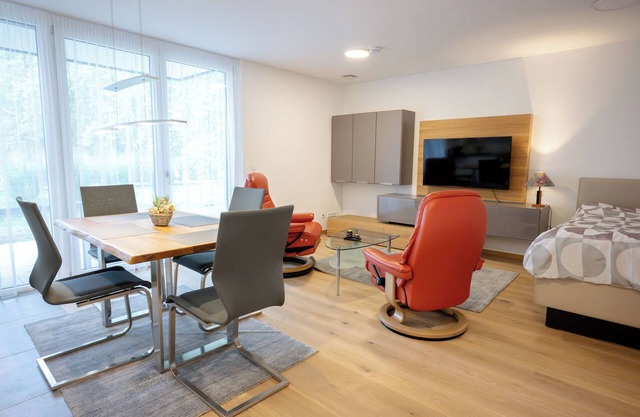 Luxury 1-room apartment