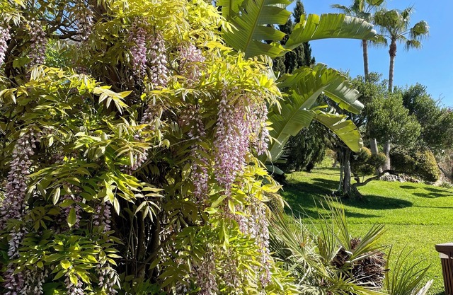Luxury finca with views, pool, jacuzzi, dream garden, sauna, AC and Starlink
