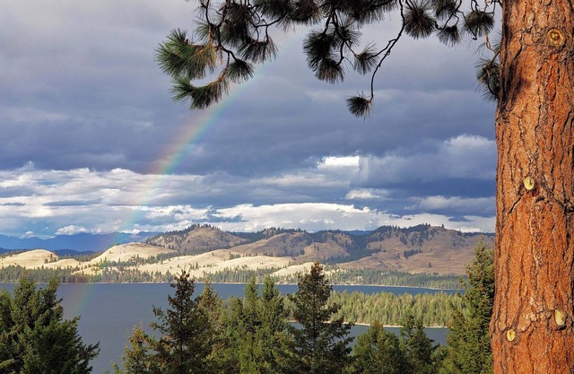 Luxury Lodge: Flathead Lake & Wild Horse Island