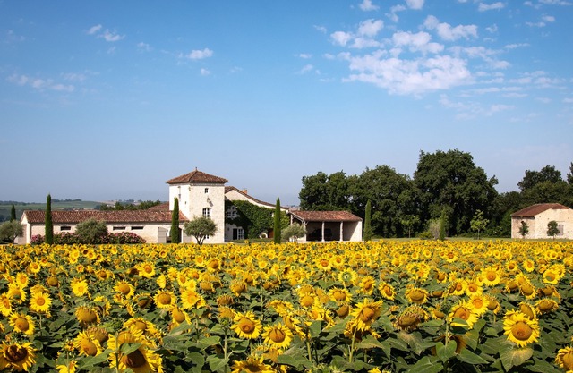Luxury secluded 14c hilltop Farmhouse set in 10 acres