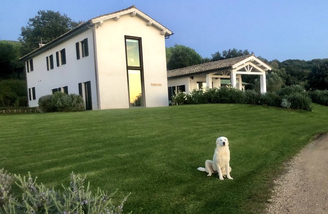 Luxury villa in Tuscany to Capalbio with 19 hectares of park