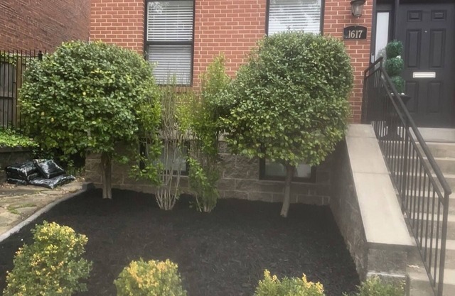 Ma Maison Soulard PRIME Location!