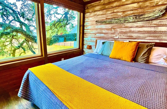 MACK: a Gorgeous Treehouse Studio for 4, overlooking the Texas Hill Country
