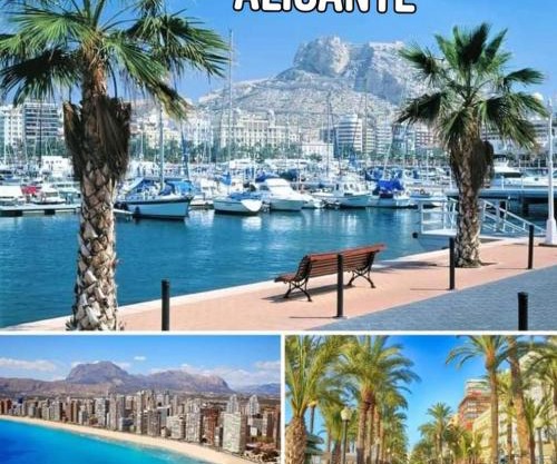 MAGIC APARTAMENT - ALICANTE