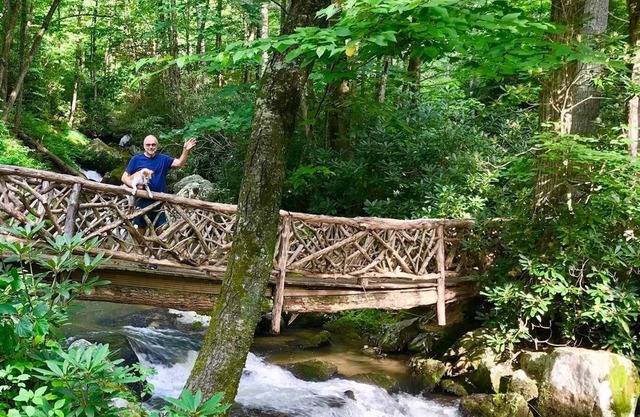 Magic winding falls cabin