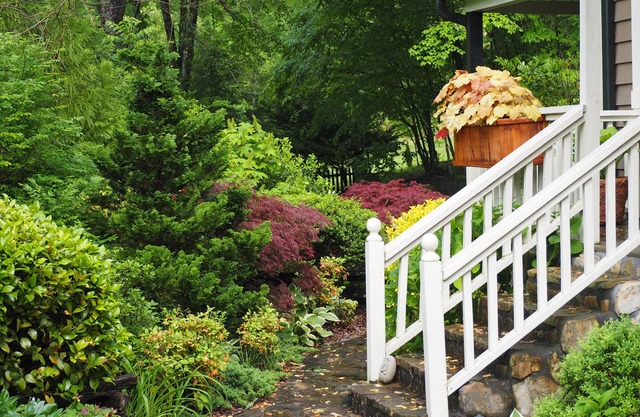 Magical Mountain Cottage