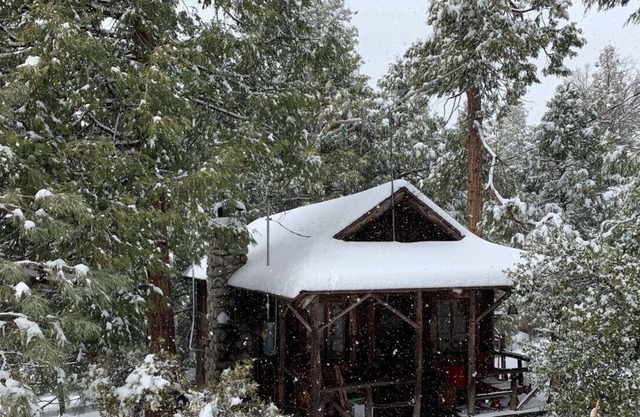 MAGICAL! ultra-vintage remod 1937- fence for dogs