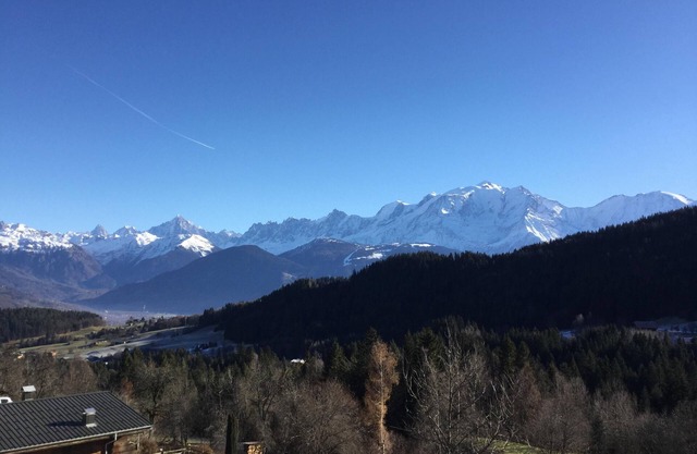 Magnificent and charming apartment, unique view of the Mont Blanc range