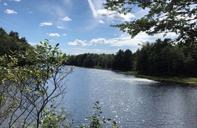 Maine Cabin on the Water