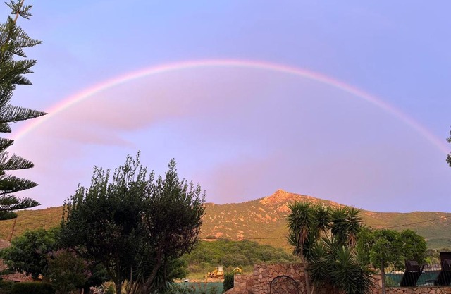 Maison Le Citronnier avec piscine - Domaine E Case Di Cuttoli