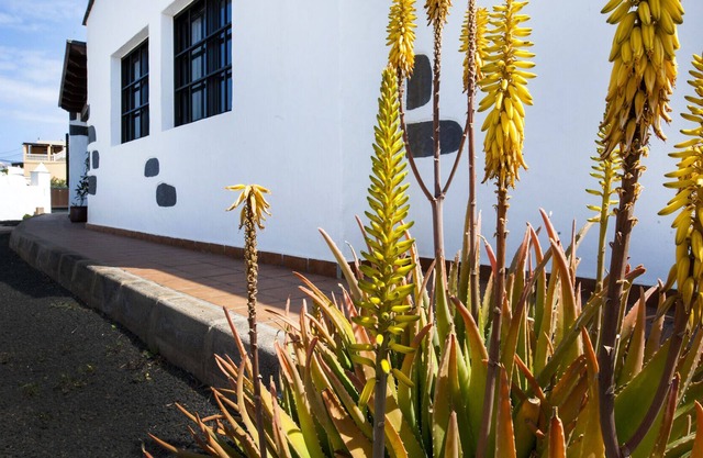 Majorera typical villa in El Roque