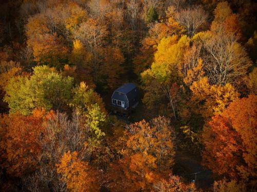 Mandy's Mountain Chalet
