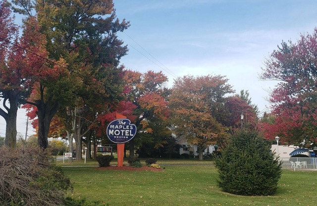 Maples Motel