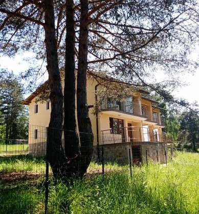 Margarita Mountain Apartments