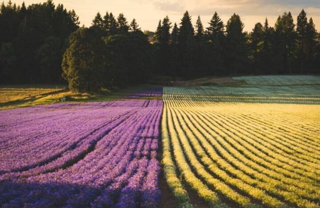 Marion!Buck Creek Trout Farm,Old Fort Railroad,Fun