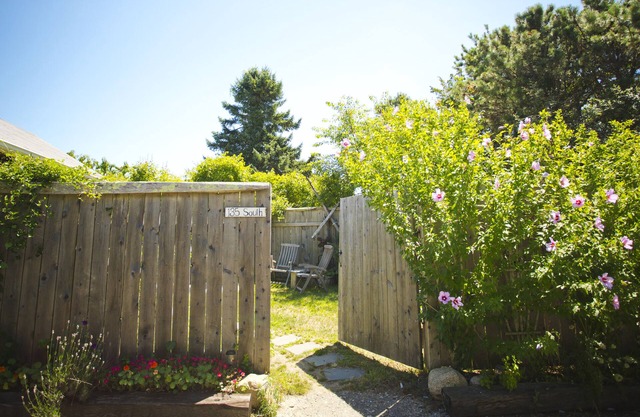 Martha's Vineyard 1BR, Pets Ok, 10 Min walk to beach or Edgartowns shops!