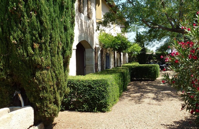 Mas, authentic wine house, swimming pool.