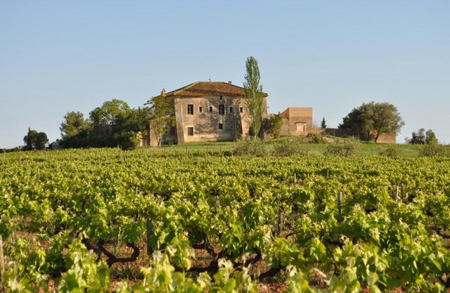 Mas Castell de Gimenelles