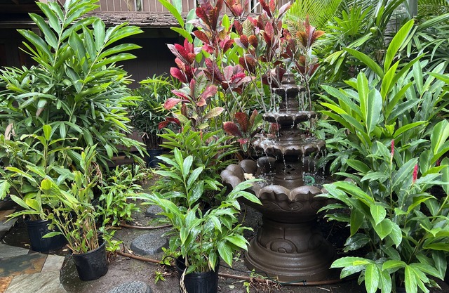Maui What A Wonderful B&B Pineapple Ste