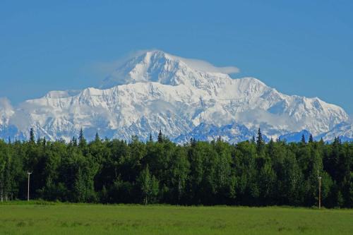 McKinley View B&B