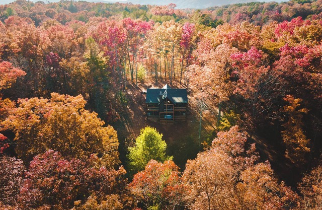 McStay in McCay - Charming 4-bed cabin w/outdoor fireplace and large jacuzzi!