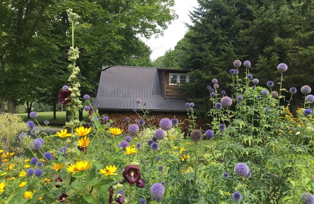 Meadow View- 35 Acres outside your door