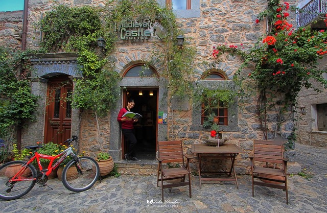 Medieval Castle