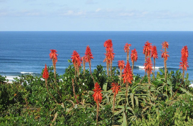 Melkhoutkloof Guest House