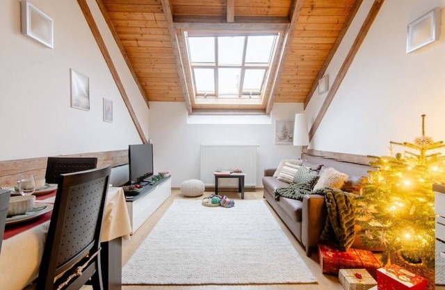Merrywood apartment 100m from Dancing House