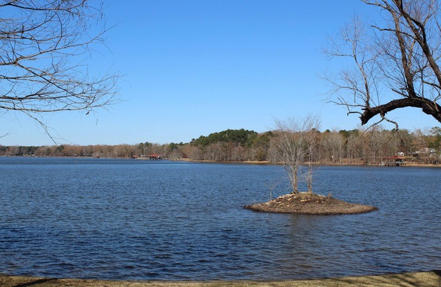 Mid Lake - Triple Forbes Fish Camp