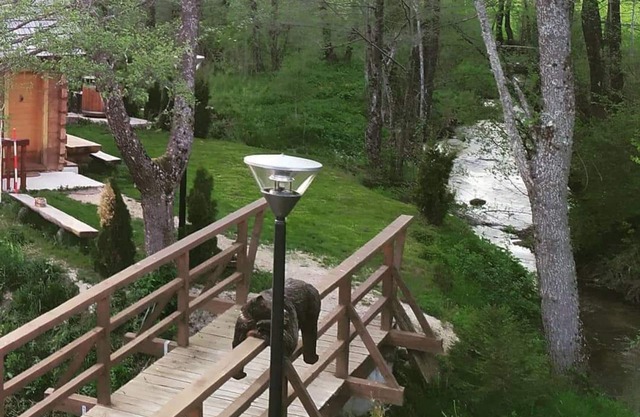 Mill cabin VV Plitvice