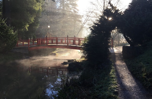 Mingus Park Place - Coos Bay